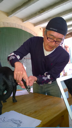 Shiatsu a 4 zampe Workshop – Corso shiatsu per animali
